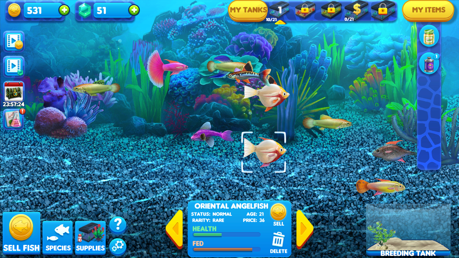 Sự hấp dẫn của Fishing Tycoon sảnh TP